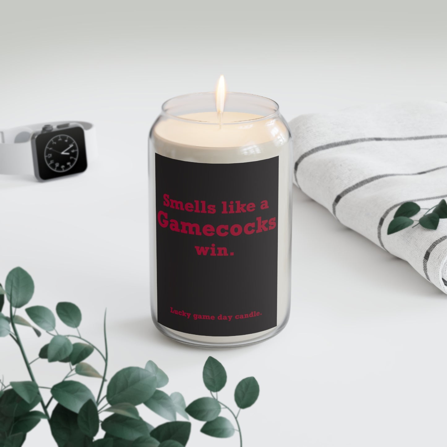 South Carolina - "Smells like a Gamecocks win" scented candle (13.75 oz)