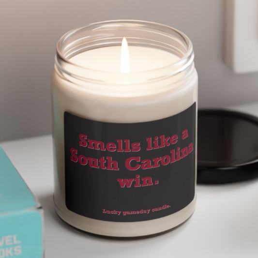 South Carolina - "Smells like a South Carolina win" scented candle (9 oz)