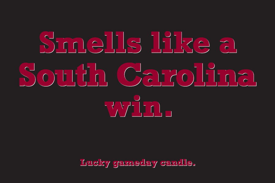 South Carolina - "Smells like a South Carolina win" scented candle (9 oz)